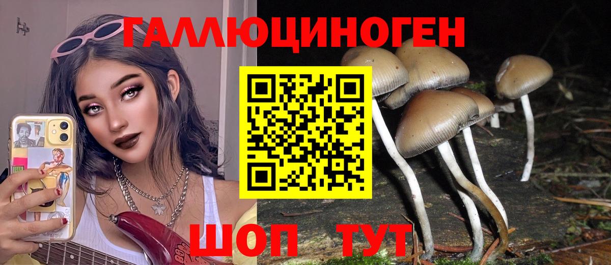 Галлюциногенные грибы MAGIC MUSHROOMS Похвистнево