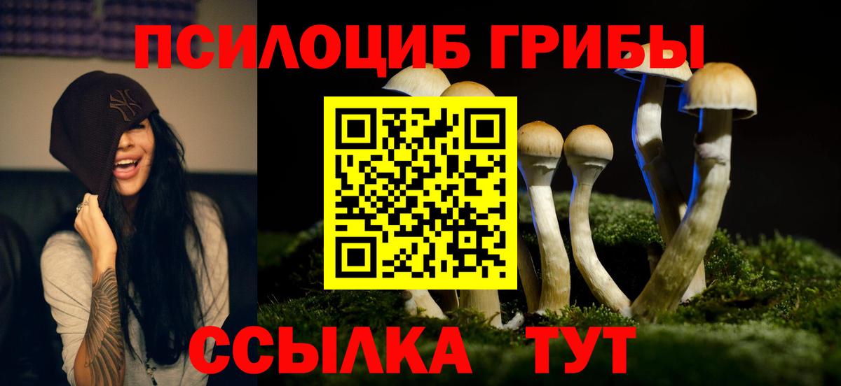 Похвистнево  Псилоцибиновые грибы Magic Shrooms  Псилоцибиновые грибы Psilocybe  Вход с VPN 